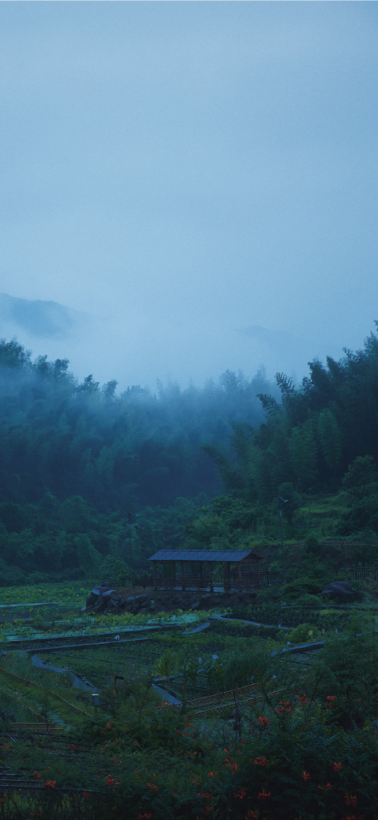 Hillside Rain